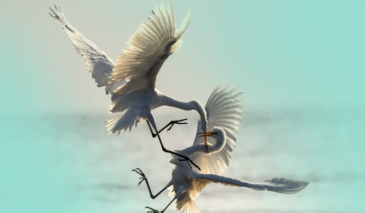 REF2924 入侵事件集及相关活动的更新