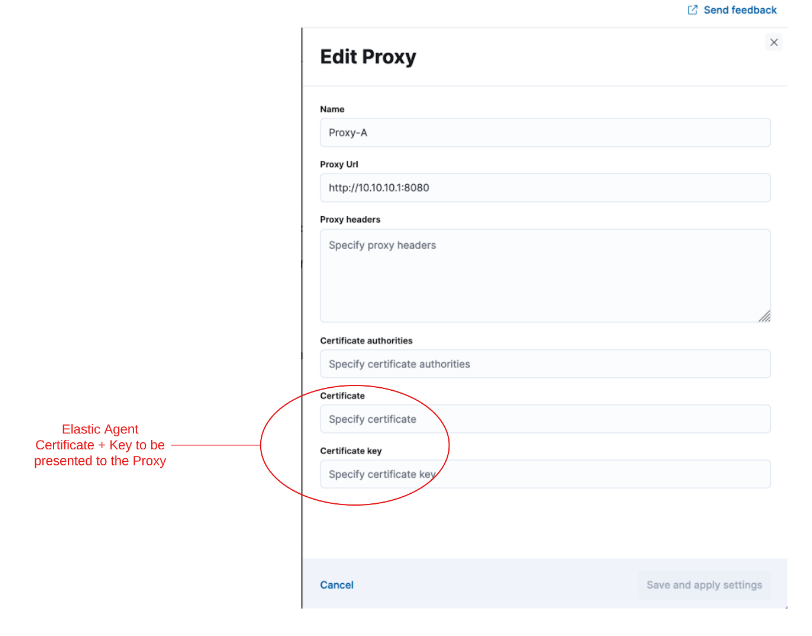 Screen capture of the Edit Proxy UI