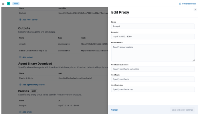 Screen capture of the Edit Proxy UI in Fleet