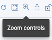 Zoom controls