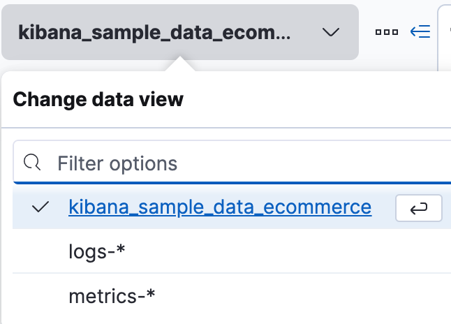 How to set the data view in Discover