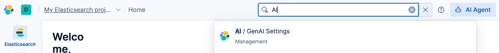 Elastic Agent Builder set up