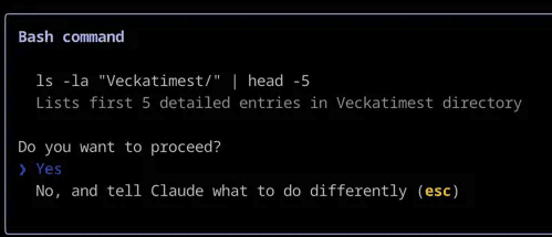 Claude Code 采用人机协同模式,在执行 Bash 命令前会向你请求确认