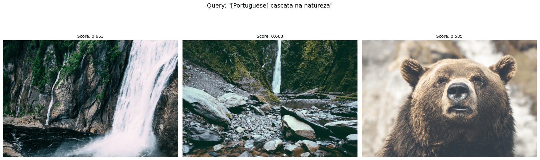 Search results for the French query "cascade dans la nature" returning the same two waterfall photos and a brown bear, with scores of 0.674, 0.670, and 0.591.