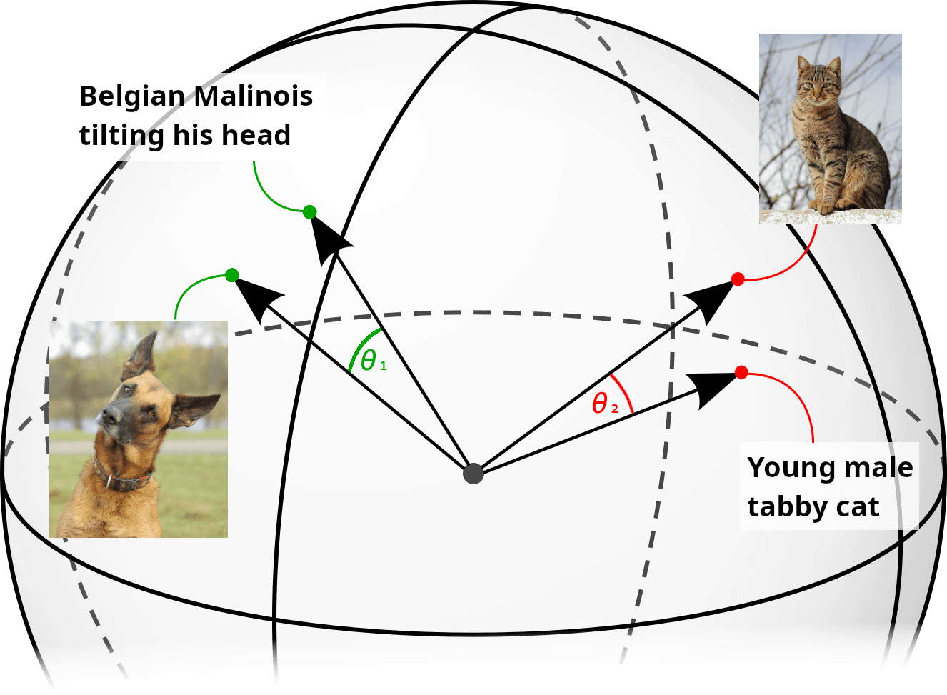Diagram of a dog and a cat mapped as vectors in a shared embedding space, illustrating how multimodal embeddings represent product similarity