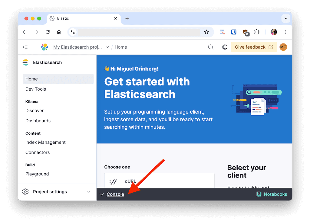 The Kibana Dev Console - Open Console