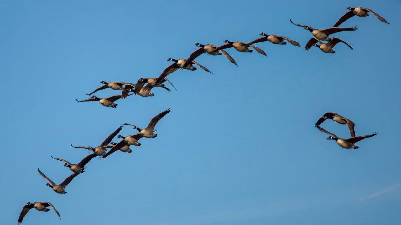 Building RAG with Llama 3 open-source and Elastic - Elasticsearch Labs