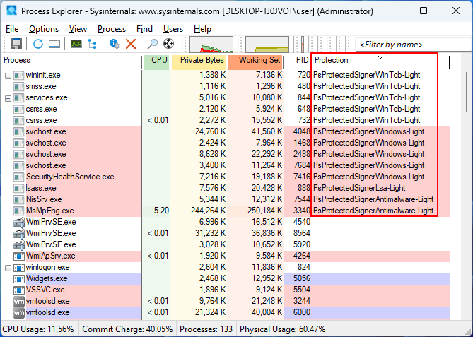APPL processes in Windows 11 22H2, as seen in Process Explorer
